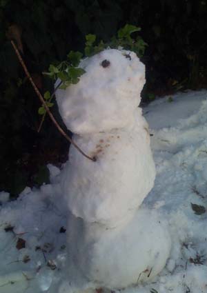 A snowman with branch crown