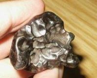 A Sikhote Alin Iron meteorite